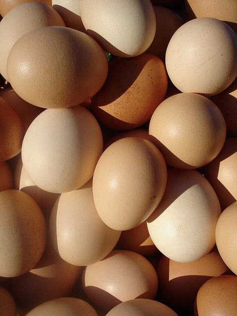 Eggs