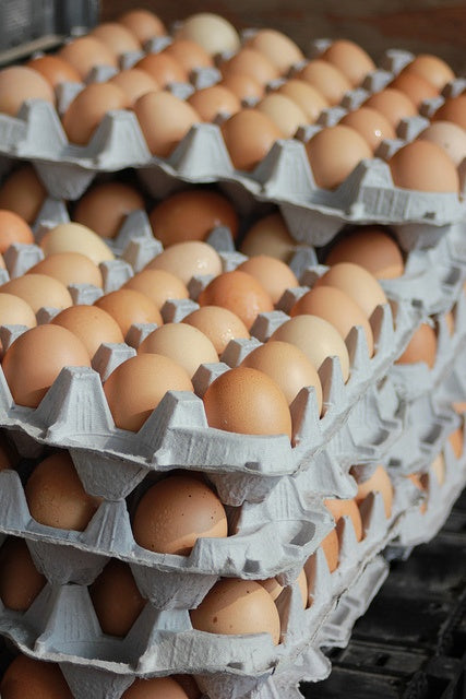 Fresh Brown Eggs – Naturally Laid Farm Eggs